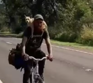 Cadela viaja agarrada ao pesco&ccedil;o do tutor em bicicleta