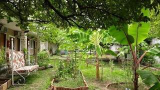 Por trás de fachada restaurada, hotel antigo esconde jardim de 72 metros Por trás de fachada restaurada, hotel antigo esconde jardim de 72 metros