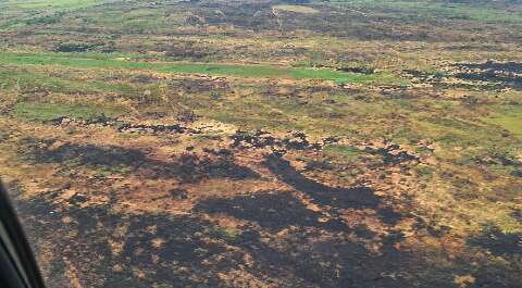 TAC exige medidas contra novos inc&ecirc;ndios florestais em 2 fazendas no Pantanal