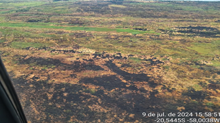 TAC exige medidas contra novos incêndios florestais em 2 fazendas no Pantanal TAC exige medidas contra novos incêndios florestais em 2 fazendas no Pantanal