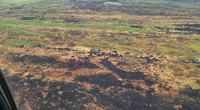 TAC exige medidas contra novos inc&ecirc;ndios florestais em 2 fazendas no Pantanal