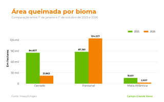 &Aacute;rea queimada no Pantanal cresce 42% e passa de 124 mil hectares