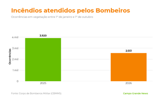 &Aacute;rea queimada no Pantanal cresce 42% e passa de 124 mil hectares