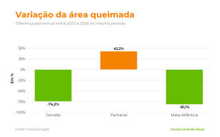 &Aacute;rea queimada no Pantanal cresce 42% e passa de 124 mil hectares
