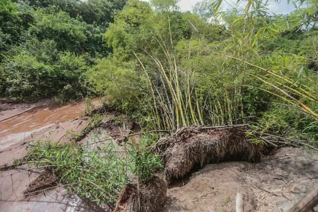 Lagoa Itatiaia e nascentes de c&oacute;rregos ganham plano de recupera&ccedil;&atilde;o ambiental 