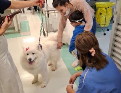 Projeto volunt&aacute;rio com c&atilde;es alegra pacientes no Hospital Universit&aacute;rio 