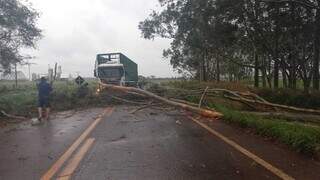 Chuva chega ao interior com granizo, destelhamento e queda de eucalipto Chuva chega ao interior com granizo, destelhamento e queda de eucalipto