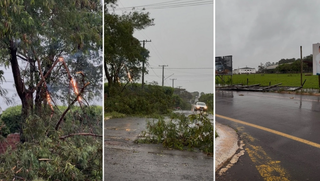 Mais estragos: temporal abre cratera e danifica casas no interior Mais estragos: temporal abre cratera e danifica casas no interior