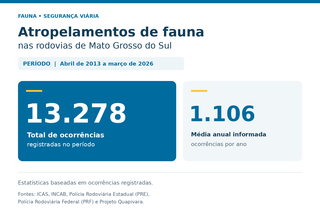 Sem cercas, passagens abertas para animais podem ser in&uacute;teis em rodovias