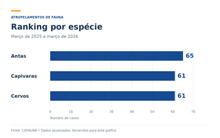 Sem cercas, passagens abertas para animais podem ser in&uacute;teis em rodovias