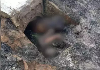 Condenada por esquartejar e queimar casal na Capital é presa em Maracaju Condenada por esquartejar e queimar casal na Capital é presa em Maracaju