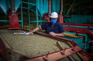 Cursos gratuitos com foco no agro oferecem 510 vagas em MS