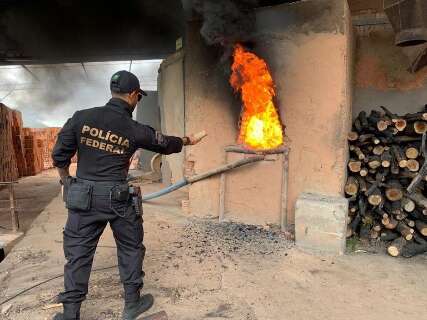 Maconha apreendida com 4 fuzis &eacute; incinerada pela PF em Navira&iacute;