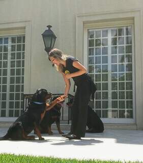 Briga entre c&atilde;es: sinais de alerta e cuidados que hot&eacute;is e creches devem ter