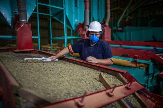 Cursos gratuitos com foco no agro oferecem 510 vagas em MS