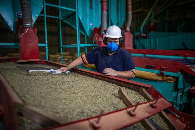 Cursos gratuitos com foco no agro oferecem 510 vagas em MS