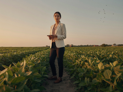 Reforma Tribut&aacute;ria transforma oportunidades no agro
