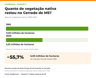 Cerrado de MS perdeu 55,7% da vegetação nativa; cobertura atual chega a só 23,6% Cerrado de MS perdeu 55,7% da vegetação nativa; cobertura atual chega a só 23,6%