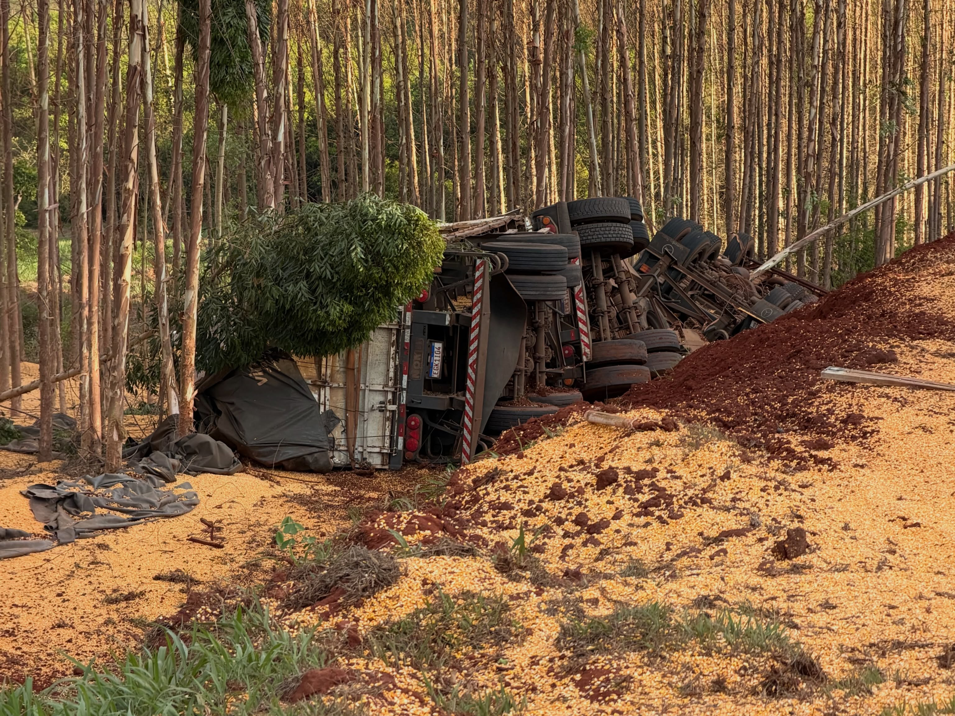 Motorista morre preso às ferragens após carreta tombar na MS-388
