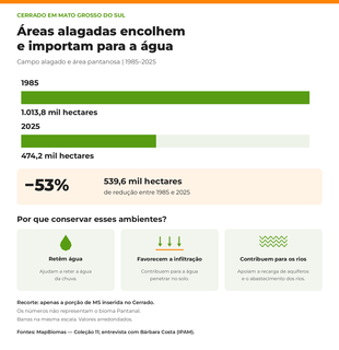 Cerrado de MS perde mais da metade das áreas alagadas desde 1985 Cerrado de MS perde mais da metade das áreas alagadas desde 1985