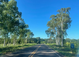 Inaugurada em 2014, "Estrada das Antas" deve ganhar 1&ordf; passagem de fauna em 2027