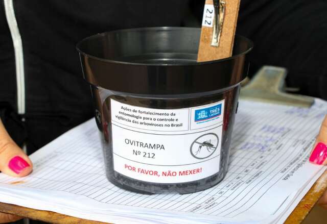 Ovos do Aedes aparecem em 60% das armadilhas de Campo Grande