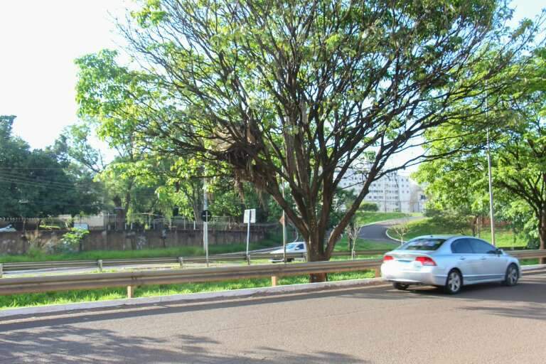 Campo Grande News