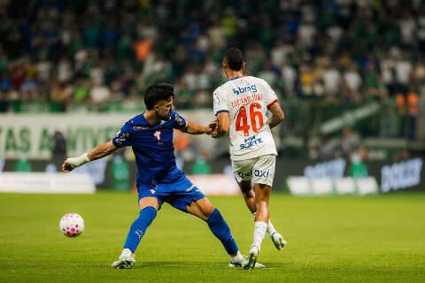 Vit&oacute;ria sobre o Bahia deixa Palmeiras a um ponto do l&iacute;der Flamengo