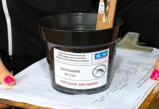 Ovos do Aedes aparecem em 60% das armadilhas de Campo Grande Ovos do Aedes aparecem em 60% das armadilhas de Campo Grande