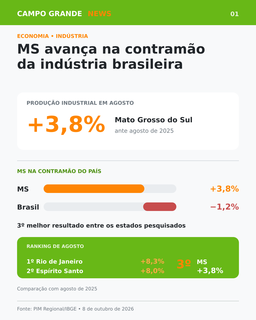 Ind&uacute;stria de MS cresce 3,8% e tem o terceiro melhor resultado do Brasil
