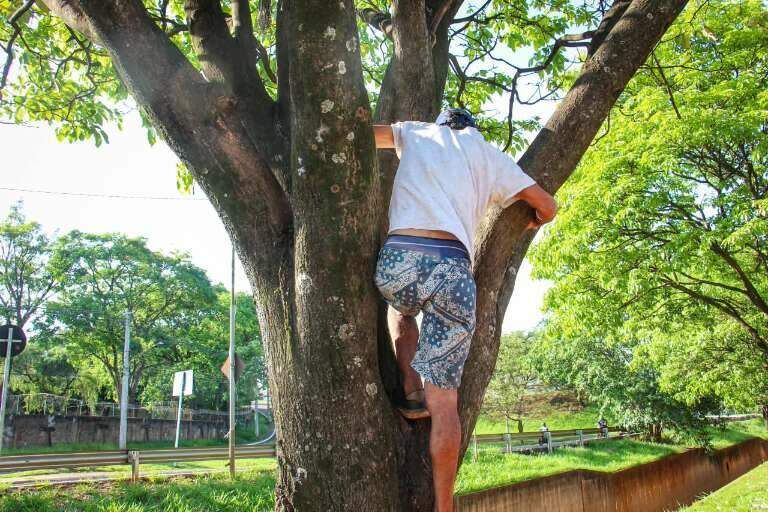 Campo Grande News