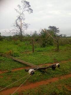 Vento e chuva derrubam &aacute;rvores e deixam zona rural sem energia em Aquidauana