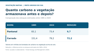 Vegeta&ccedil;&atilde;o de MS perde 34% do carbono armazenado em 40 anos