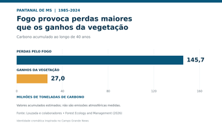 Incêndios causam mais perdas de carbono do que Pantanal consegue recuperar Incêndios causam mais perdas de carbono do que Pantanal consegue recuperar