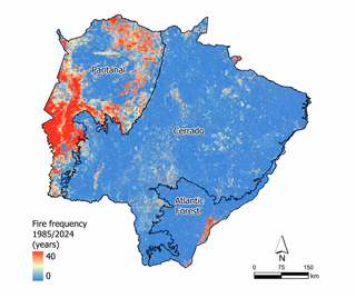 Incêndios causam mais perdas de carbono do que Pantanal consegue recuperar Incêndios causam mais perdas de carbono do que Pantanal consegue recuperar