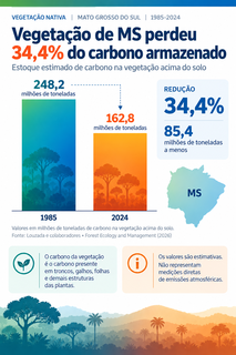 Vegeta&ccedil;&atilde;o de MS perde 34% do carbono armazenado em 40 anos
