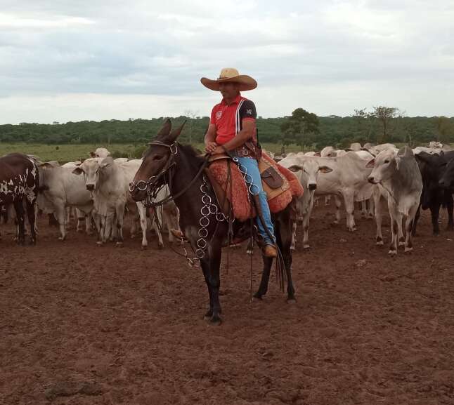 Campo Grande News