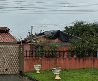 Temporal destelha 25 casas, derruba 20 árvores e afeta estradas em Amambai Temporal destelha 25 casas, derruba 20 árvores e afeta estradas em Amambai