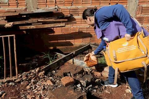 MS j&aacute; soma 31 mortes por chikungunya em 2026