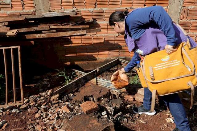 MS j&aacute; soma 31 mortes por chikungunya em 2026