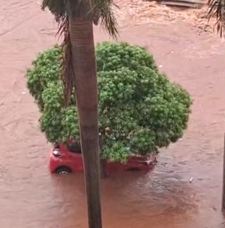 Chuva alaga Avenida Rachid Neder e acumulado passa de 100 mm em Campo Grande Chuva alaga Avenida Rachid Neder e acumulado passa de 100 mm em Campo Grande