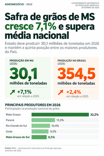 Safra de grãos de MS cresce 7,1% e supera média nacional Safra de grãos de MS cresce 7,1% e supera média nacional