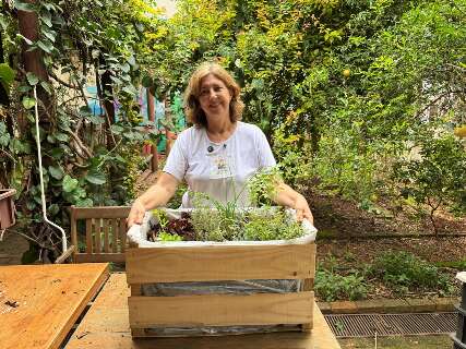 Sem quintal? Caixote vira horta port&aacute;til com temperos fresquinhos