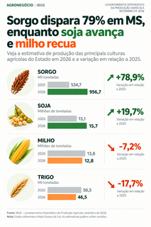 Sorgo dispara 79% em MS, enquanto soja avan&ccedil;a e milho recua