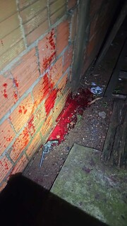 Homem investigado por homicídio morre durante abordagem do Choque Homem investigado por homicídio morre durante abordagem do Choque