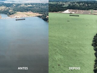 Usina diz que faz estudo sobre plantas aqu&aacute;ticas no reservat&oacute;rio de Mimoso