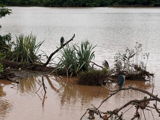 &Aacute;gua baixa no Lago do Amor e deixa para tr&aacute;s lixo espalhado pelas margens