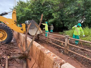 Com caminh&otilde;es e patrola, 20 equipes limpam estragos do temporal na Capital 