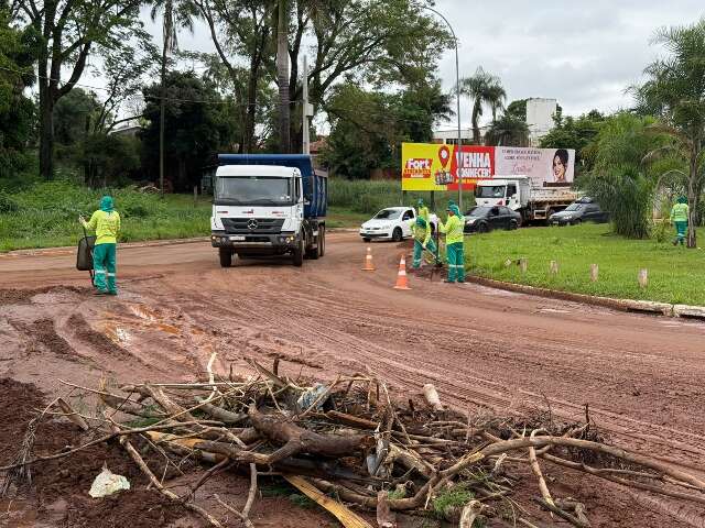 Com caminh&otilde;es e patrola, 20 equipes limpam estragos do temporal na Capital 