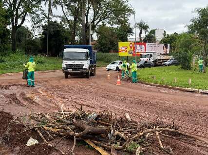 Com caminh&otilde;es e patrola, 20 equipes limpam estragos do temporal na Capital 